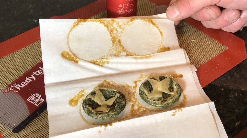 Turning Soap Lake Dispensary flower into gold solventless concentrate using Rosin technique and Redytek rosin press Washington