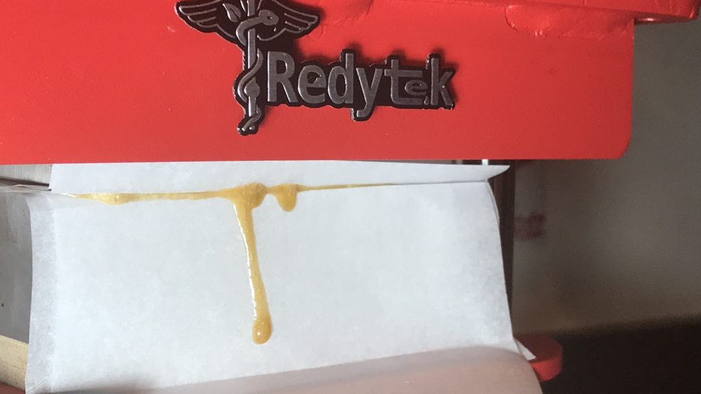 Light gold rosin dripping from dual heat plates on a Redytek Crank rosin press