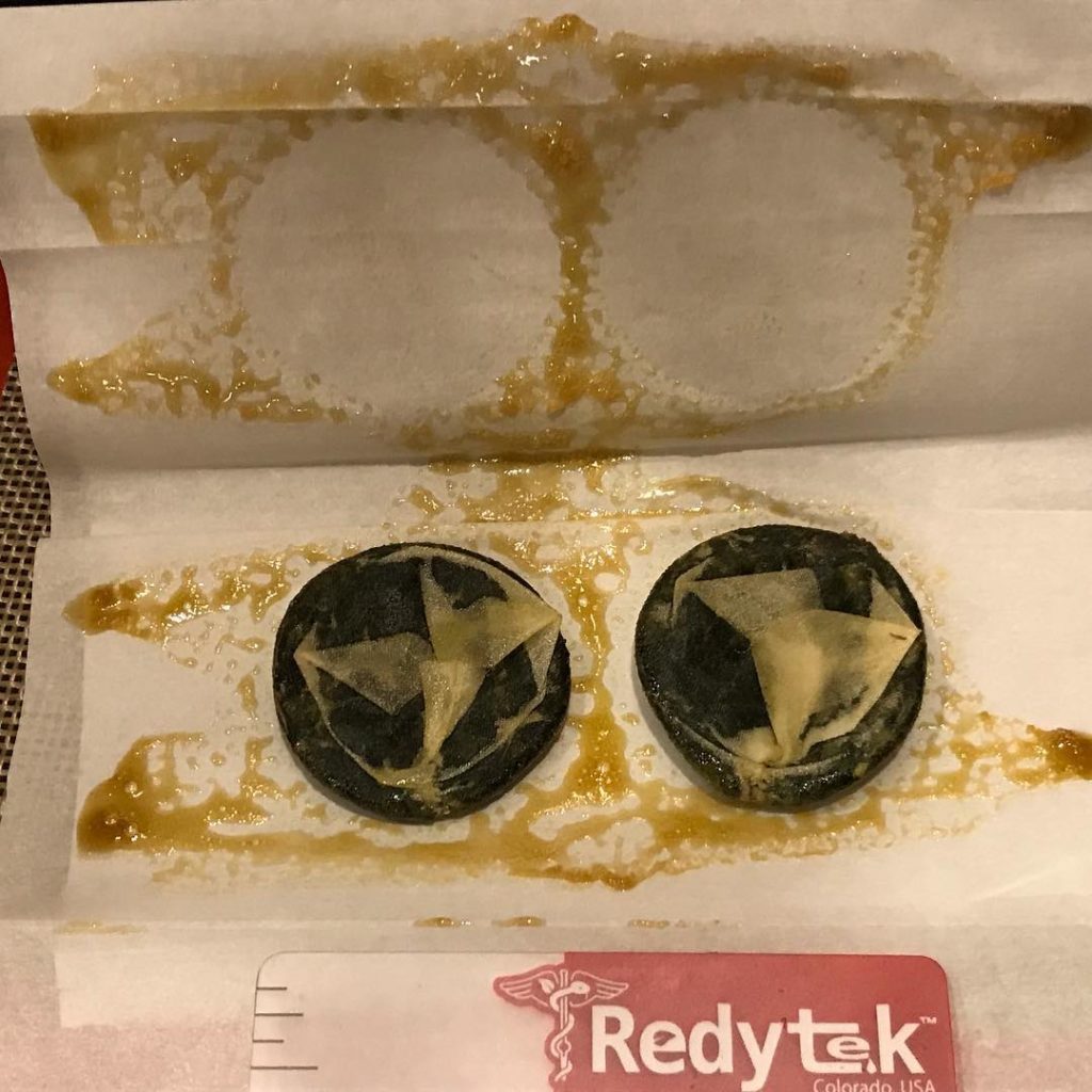 Turning North Palm Beach Dispensary flower into gold solventless concentrate using Rosin technique and Redytek rosin press Florida